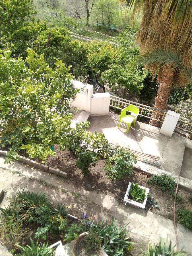 La Flecha Hostel Abrucena Zewnętrze zdjęcie