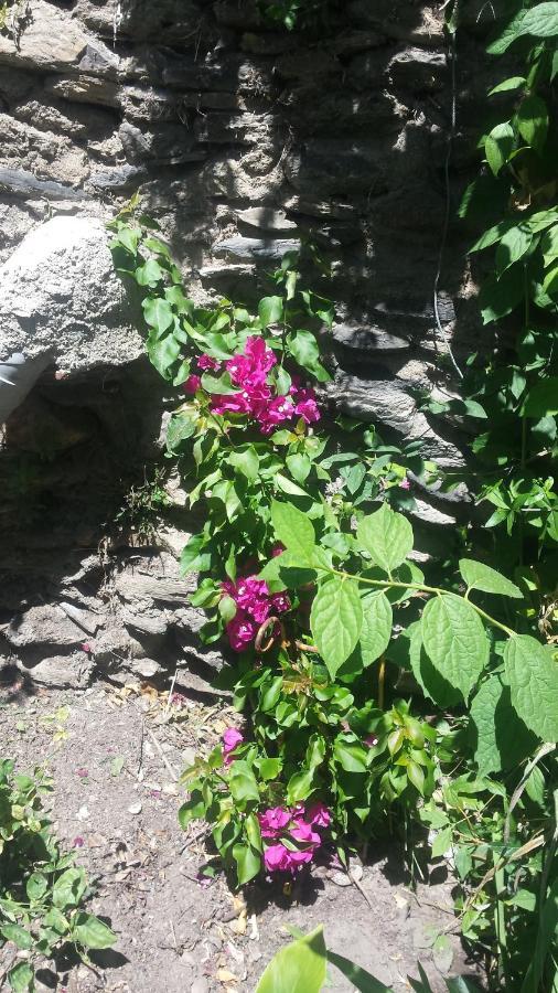 La Flecha Hostel Abrucena Zewnętrze zdjęcie